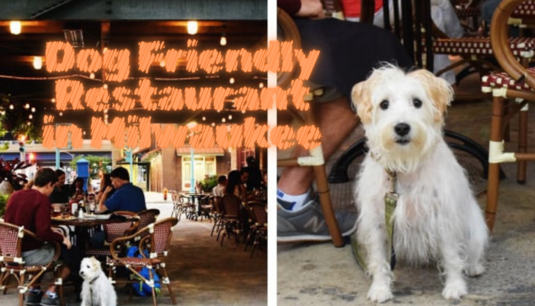 Dog Friendly Restaurant in Milwaukee