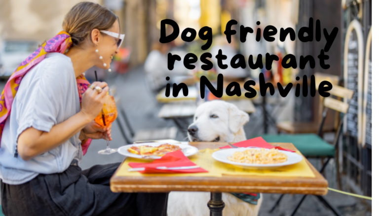 Dog friendly restaurant in Nashville