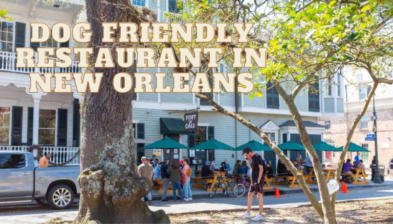 Dog friendly restaurant in New Orleans