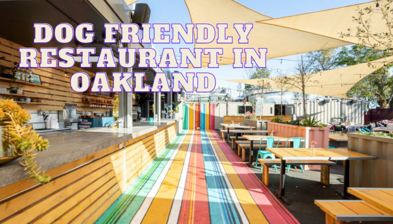 Dog friendly restaurant in Oakland