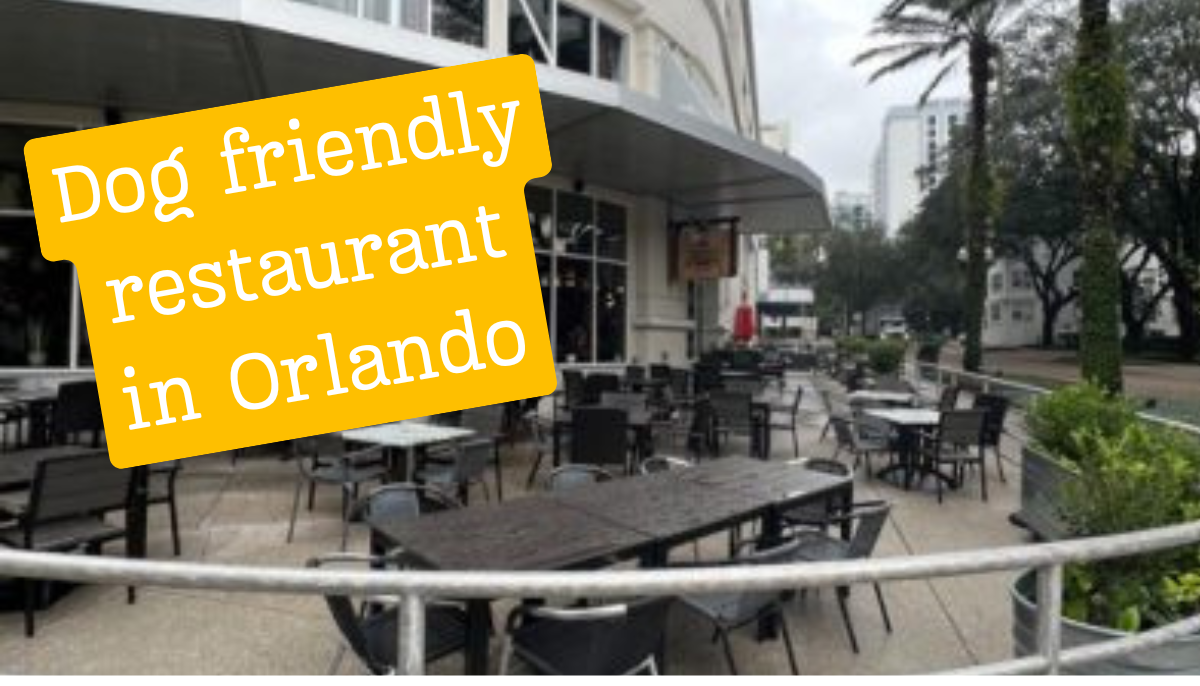 Dog friendly restaurant in Orlando