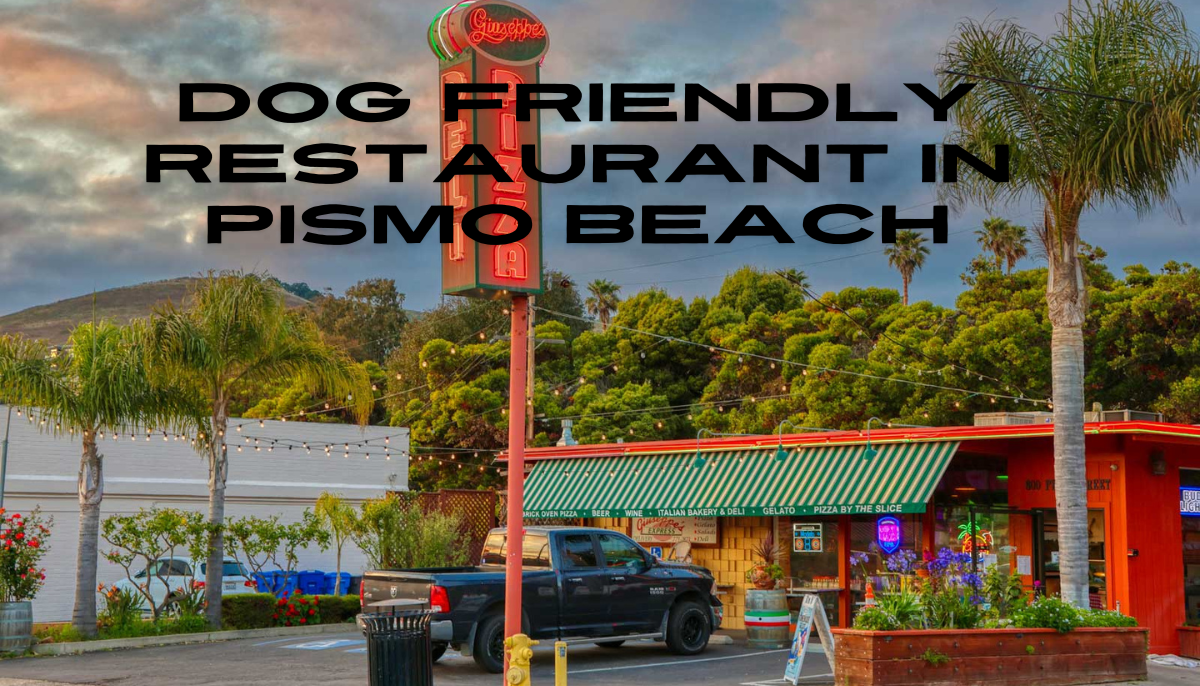 Dog friendly restaurant in Pismo Beach