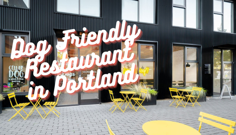 Dog Friendly Restaurant in Portland