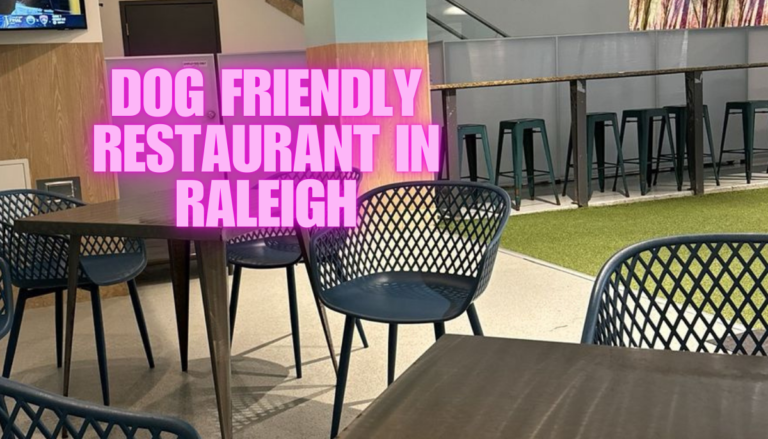 Dog Friendly Restaurant in Raleigh