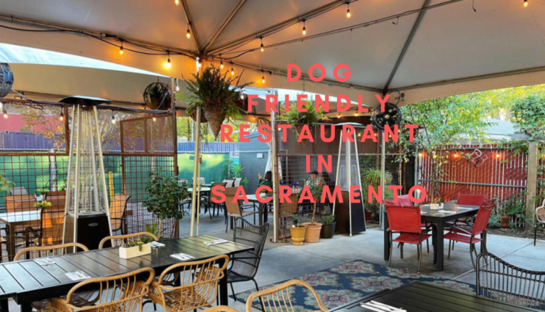 Dog Friendly Restaurant in Sacramento