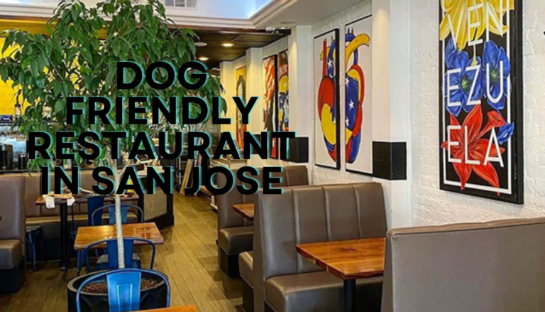 Dog Friendly Restaurant in San Jose