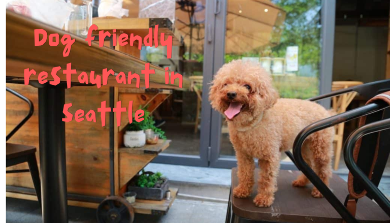 Dog friendly restaurant in Seattle