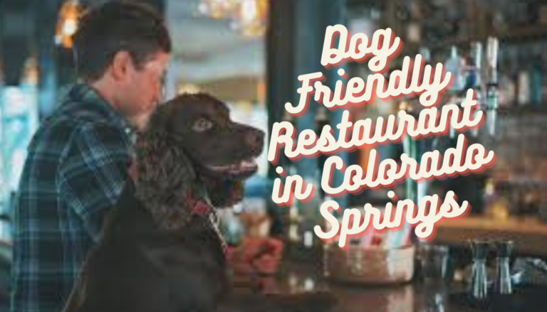 Dog Friendly Restaurant in Colorado Springs