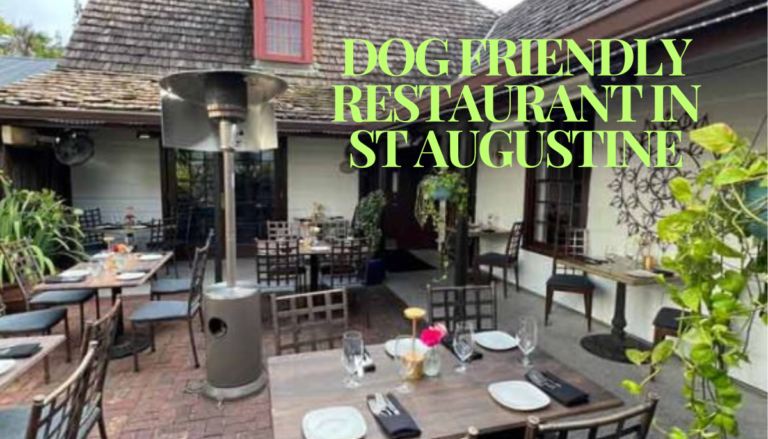 Dog Friendly Restaurant in St Augustine