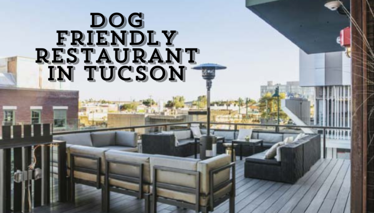 Dog friendly restaurant in Tucson