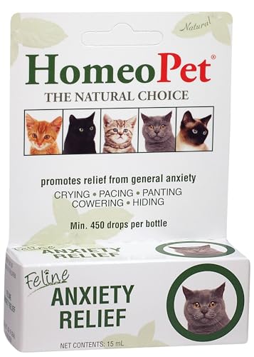 Best Anti-Anxiety Supplements for Cats in 2026