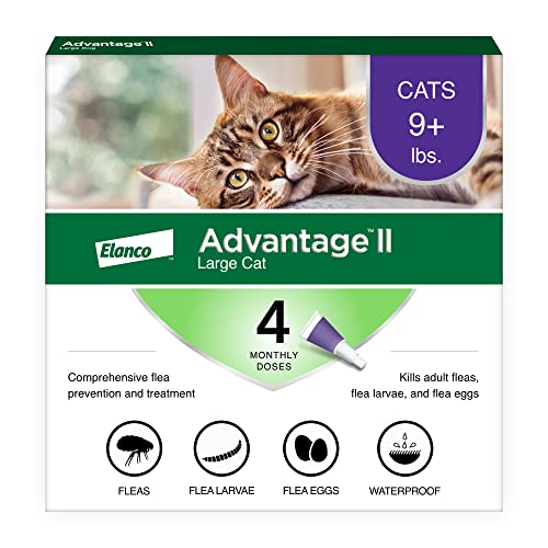 Best Flea Treatments for Cats 2026