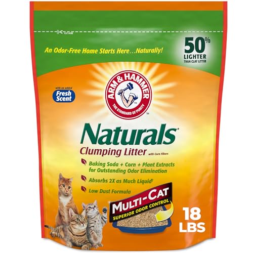 Best Natural Cat Litter 2026 – Top 7 Picks