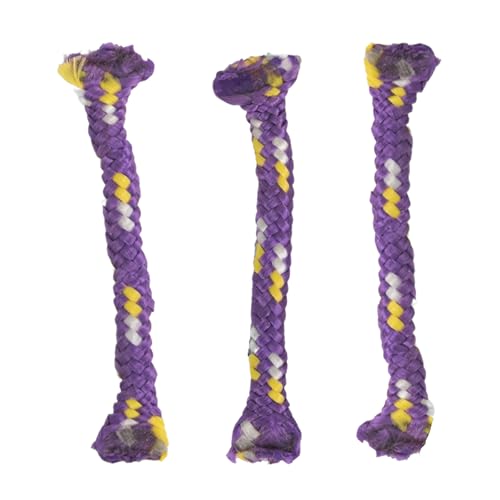 Best Quiet Cat Toys for Night Play 2026