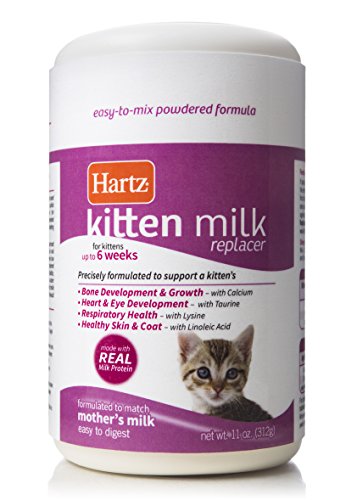 Best Kitten Milk Replacers of 2026 for Kittens
