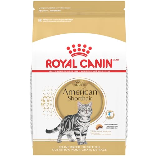 Best British Shorthair Cat Food 2026: Top 7 Picks