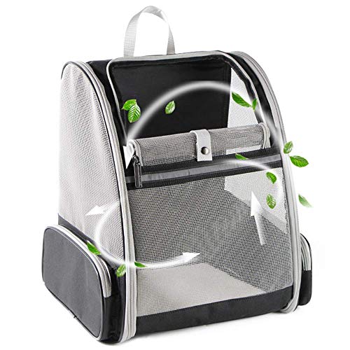 Best Cat Backpack Carriers 2026 | Top 7 Reviewed