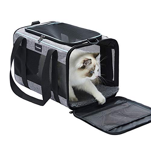 Best Cat Carriers for Air Travel 2026