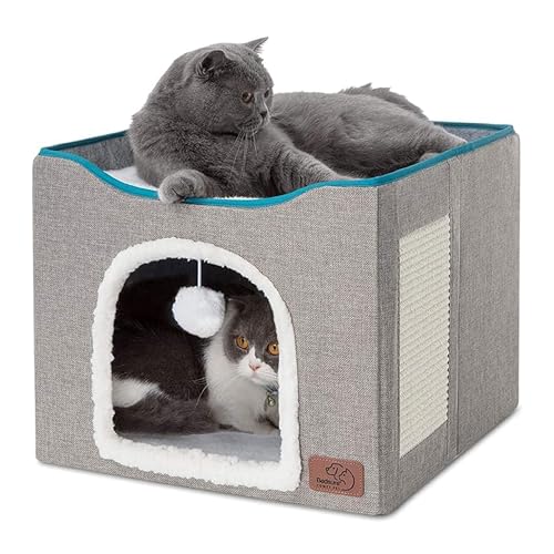 Best Cat Caves & Hideaways 2026