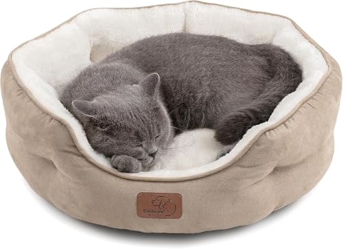 Best Orthopedic Cat Beds 2026 – Top 7 Reviewed