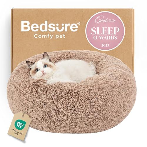 Best Cat Beds for Deep Sleepers 2026