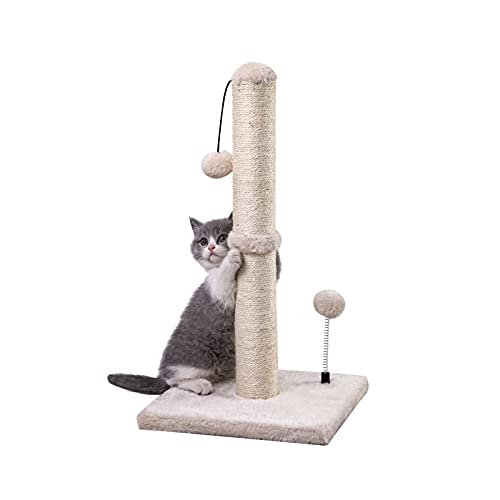 Best Kitten Scratching Posts 2026