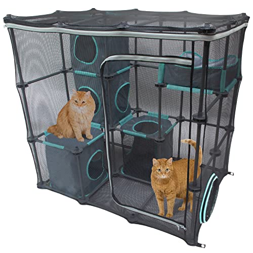 Best Catio Enclosures and Kits 2026: Top 7 Outdoor Cat Havens