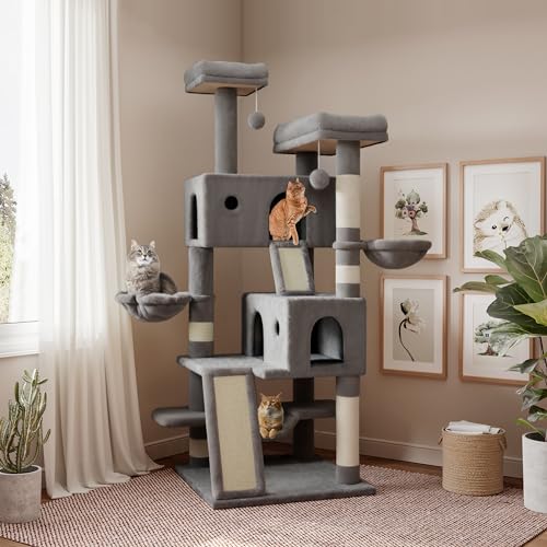 Best Large Cat Activity Centres 2026: Top 7 For Indoor Cats
