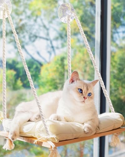 Best Cat Window Perches of 2026 – Top 7 Picks