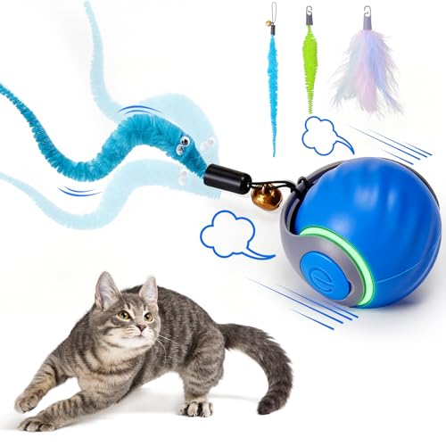 Best Automatic Cat Ball Toys 2026 | Top 7 Reviewed