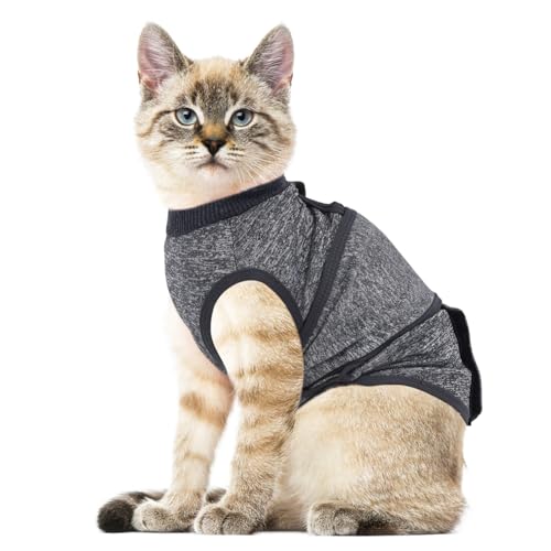 Best Anxiety Wraps for Cats 2026 – Top 7 Picks
