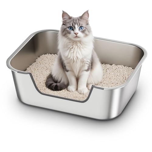 Best Low-Entry Litter Boxes for Old Cats of 2026 – Top 7