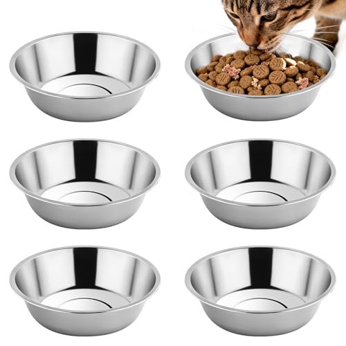 Best Stainless Steel Cat Bowls 2026