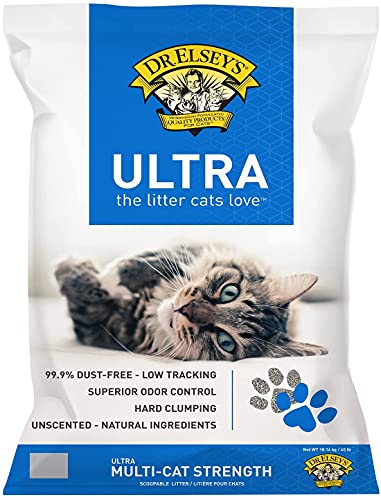 Best Dust-Free Cat Litter: Top 7 Picks for a Cleaner Home