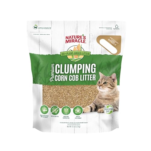Top 3 Corn-Based Cat Litters for Odor Control