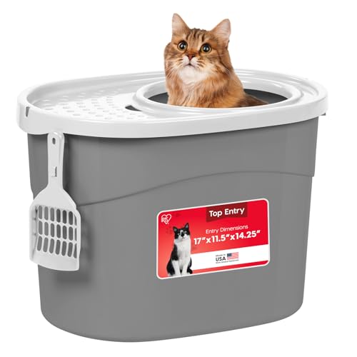 Best 7 Top-Entry Cat Litter Boxes for Tidy Homes