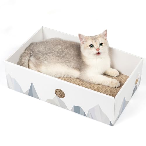 Best Cardboard Cat Scratching Boxes: Top 3 Picks