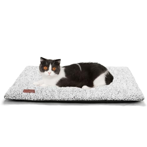 Best 7 Heated Pads for Cats 2025