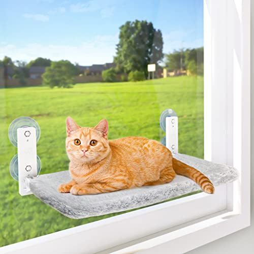 7 Best Cat Hammock Window Seats with Suction Cups