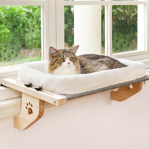 Best Cat Window Beds: Top Picks for Sunny Naps
